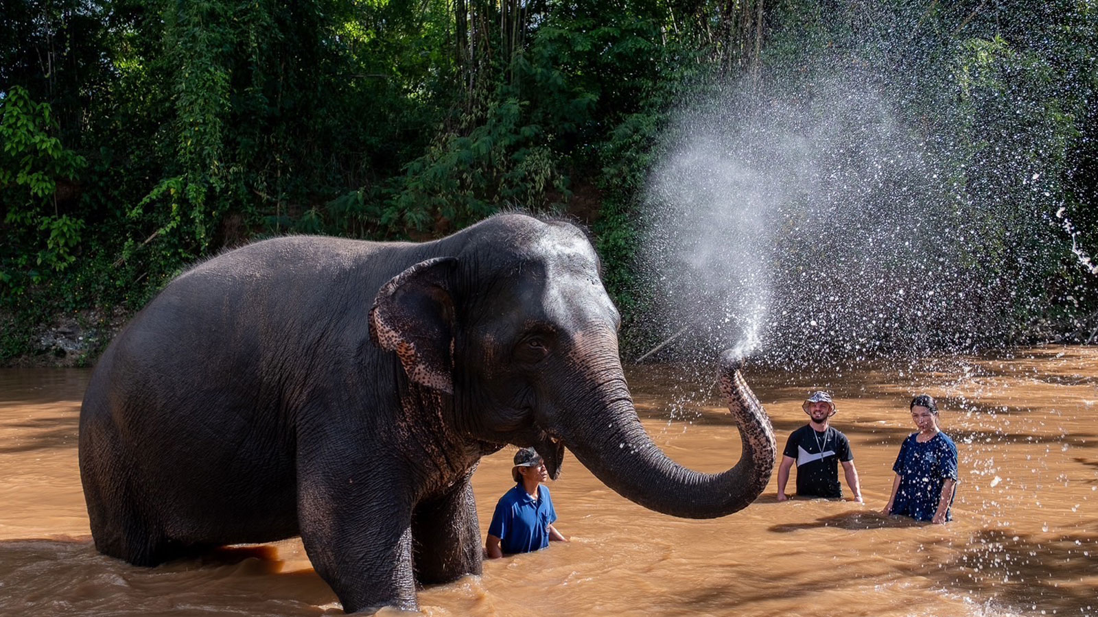 Elephant bathing in a river with visitors and a keeper