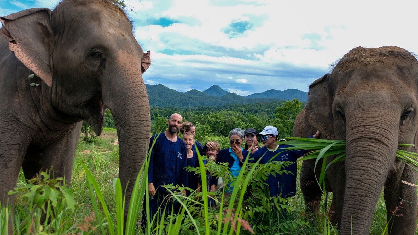 Visitors walking alongside elephants in Pai's mountain landscape
