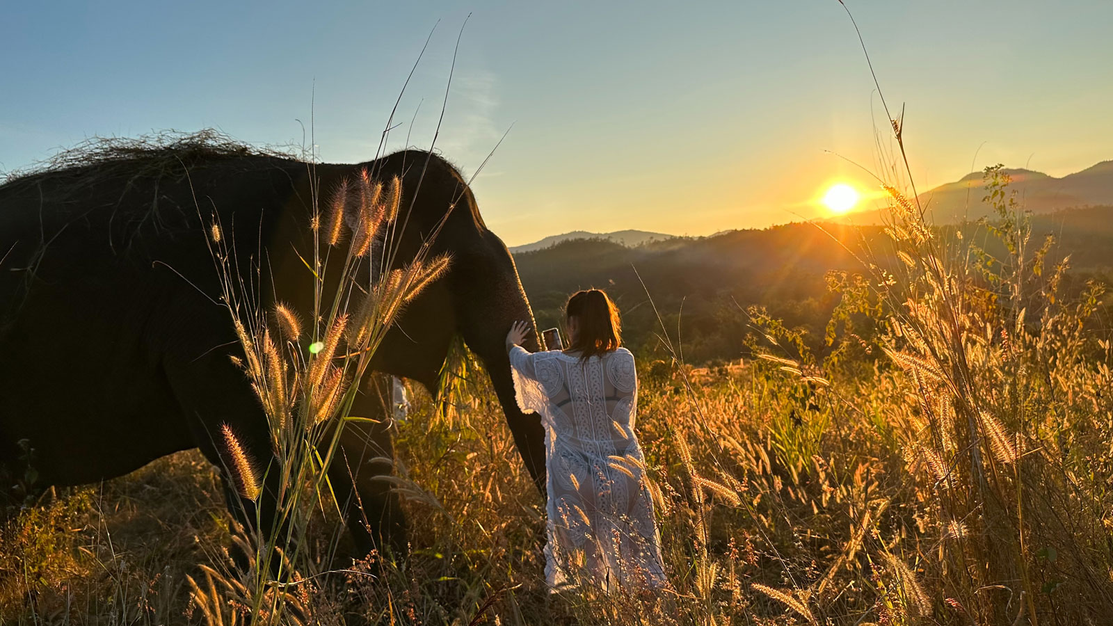 Visitor walking alongside an elephant at sunset in the Pai Valley